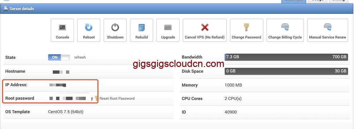 GigsGigsCloud服务器详情